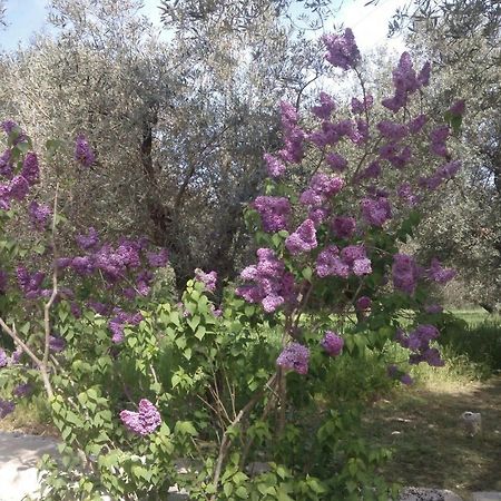 Masseria Costanza Putignano Exteriör bild
