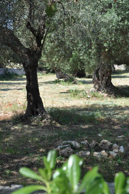 Masseria Costanza Putignano Exteriör bild